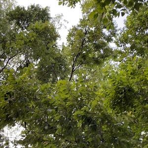 Meet your Posher, Jephthah